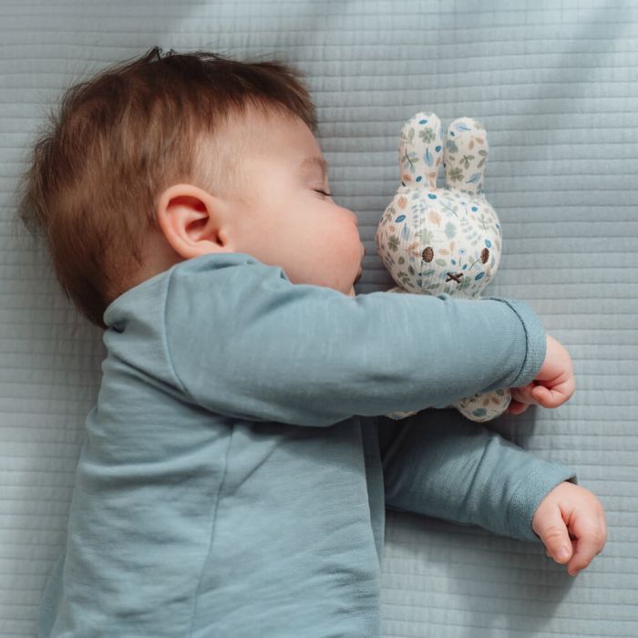 Miffy Bunny - Lucky Leaves