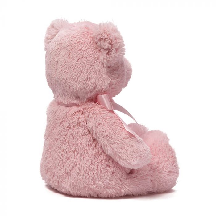 My First Tedddy Bear - Pink