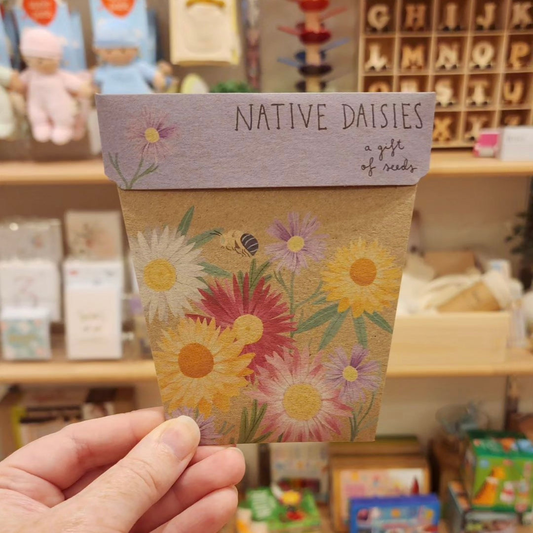 Alt text: A beautifully designed greeting card featuring a Native Daisies Gift of Seeds, containing Swan River daisy, everlasting daisy, and strawflower seeds for lovely Australian blooms.