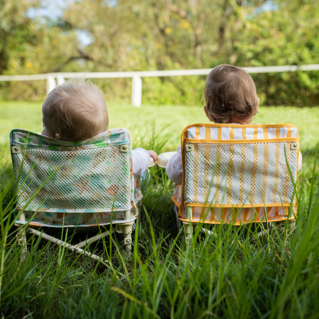 Brighton Portable Baby Chair