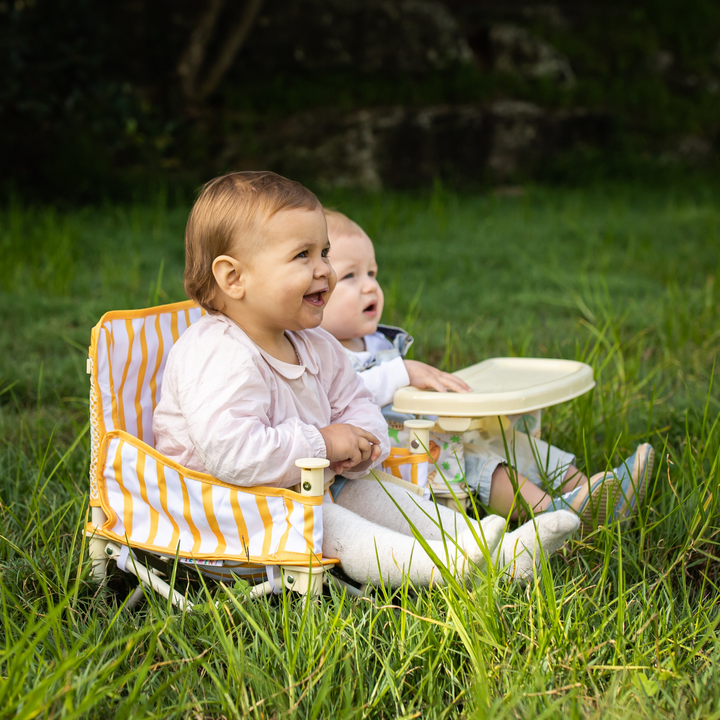 Brighton Portable Baby Chair