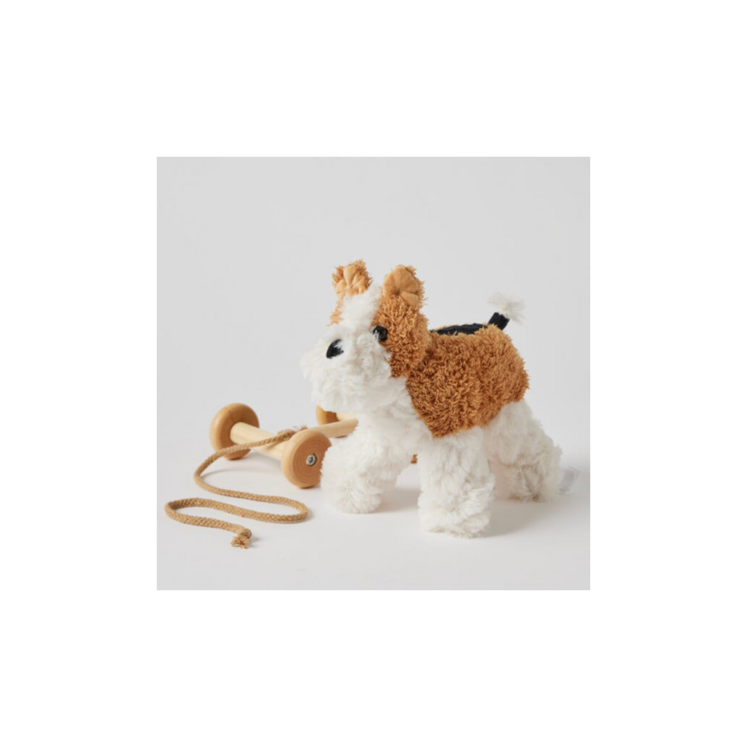 Dog Plush Pull Along