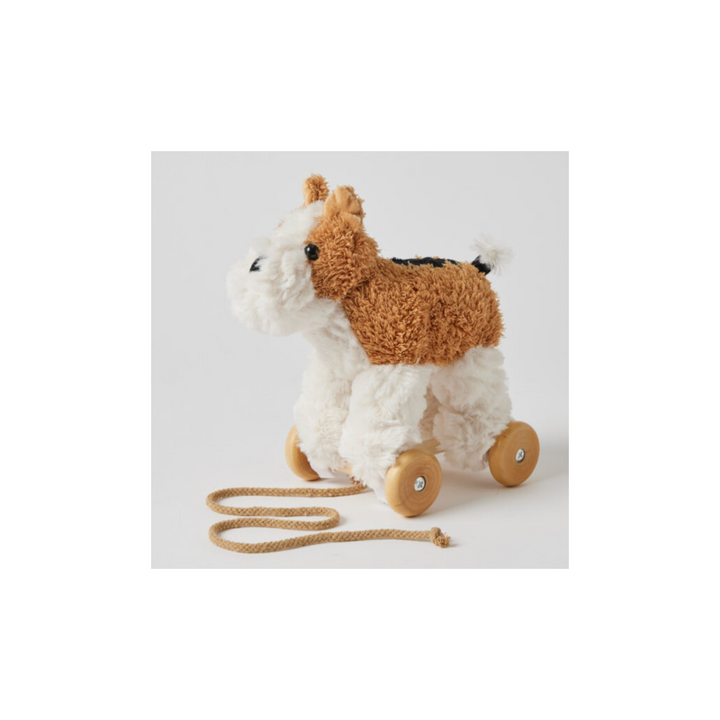 Dog Plush Pull Along