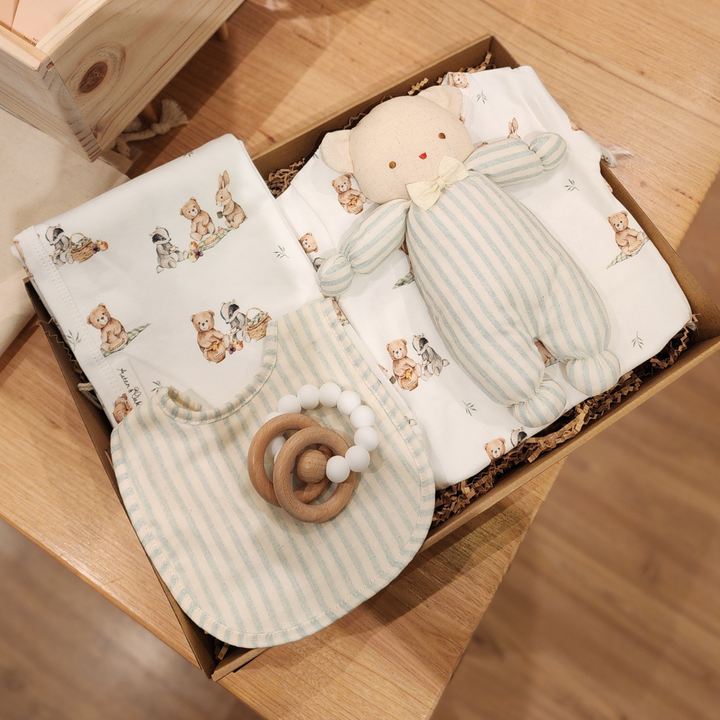 Teddy Bear Picnic Baby Hamper