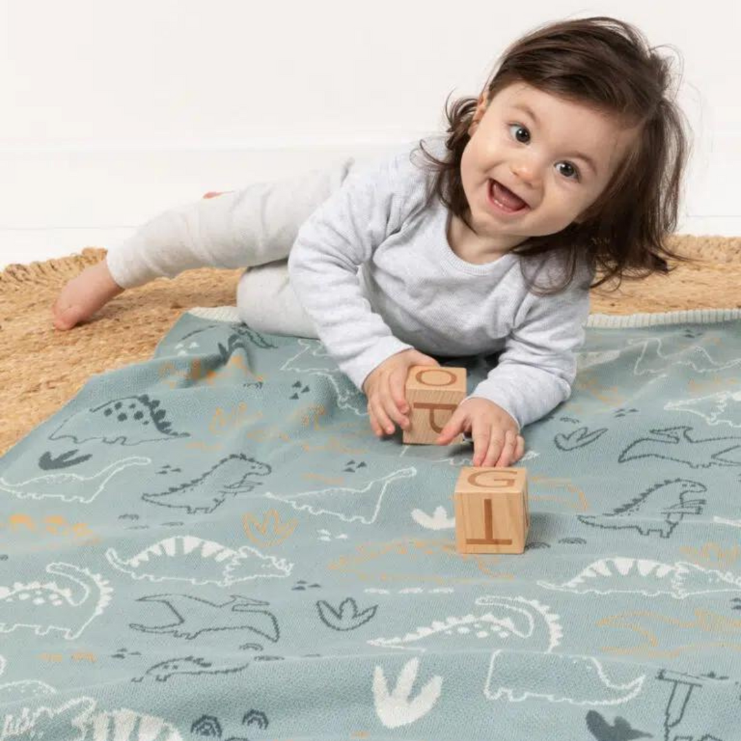 Knitted Baby Blanket - Jurassic Park