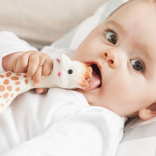 Baby chewing on Sophie The Giraffe 