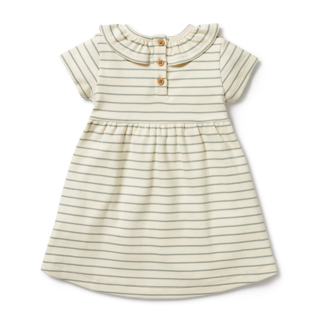 Wilson & Frenchy Petit Sage Organic Ruffle Dress - kateinglishdesigns