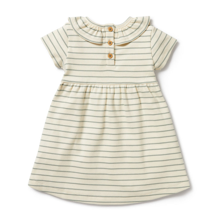 Wilson & Frenchy Petit Sage Organic Ruffle Dress - kateinglishdesigns