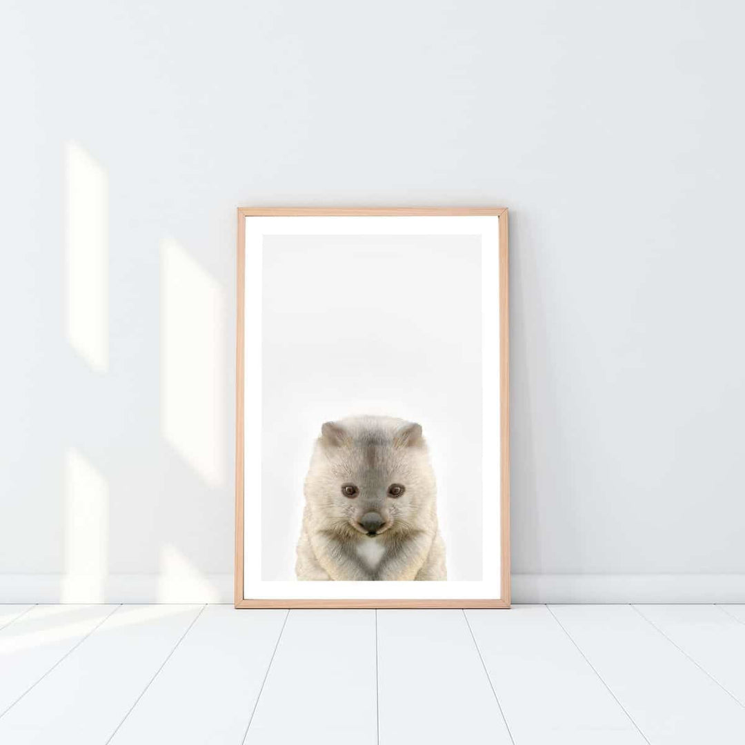 Jenna Davie Artwork Baby Wombat - Assorted - kateinglishdesigns