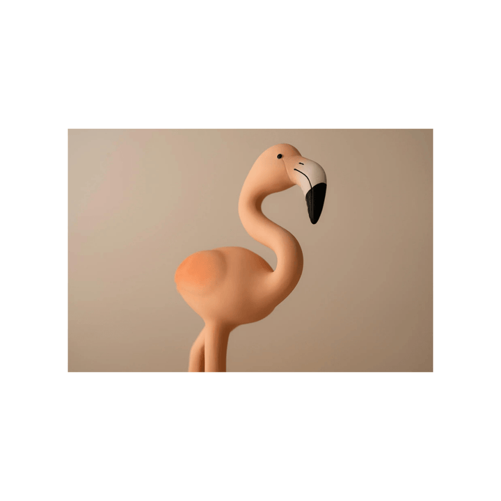 Lingo The Flamingo - kateinglishdesigns